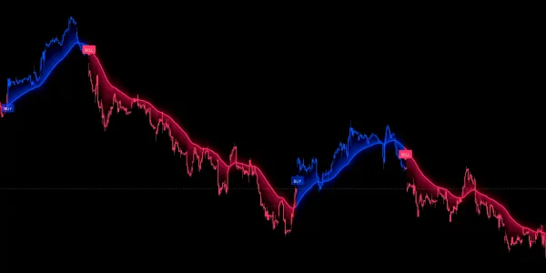 NIFTY 50